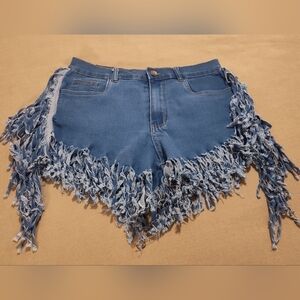 Daisy Blue Fringed Jean Shorts